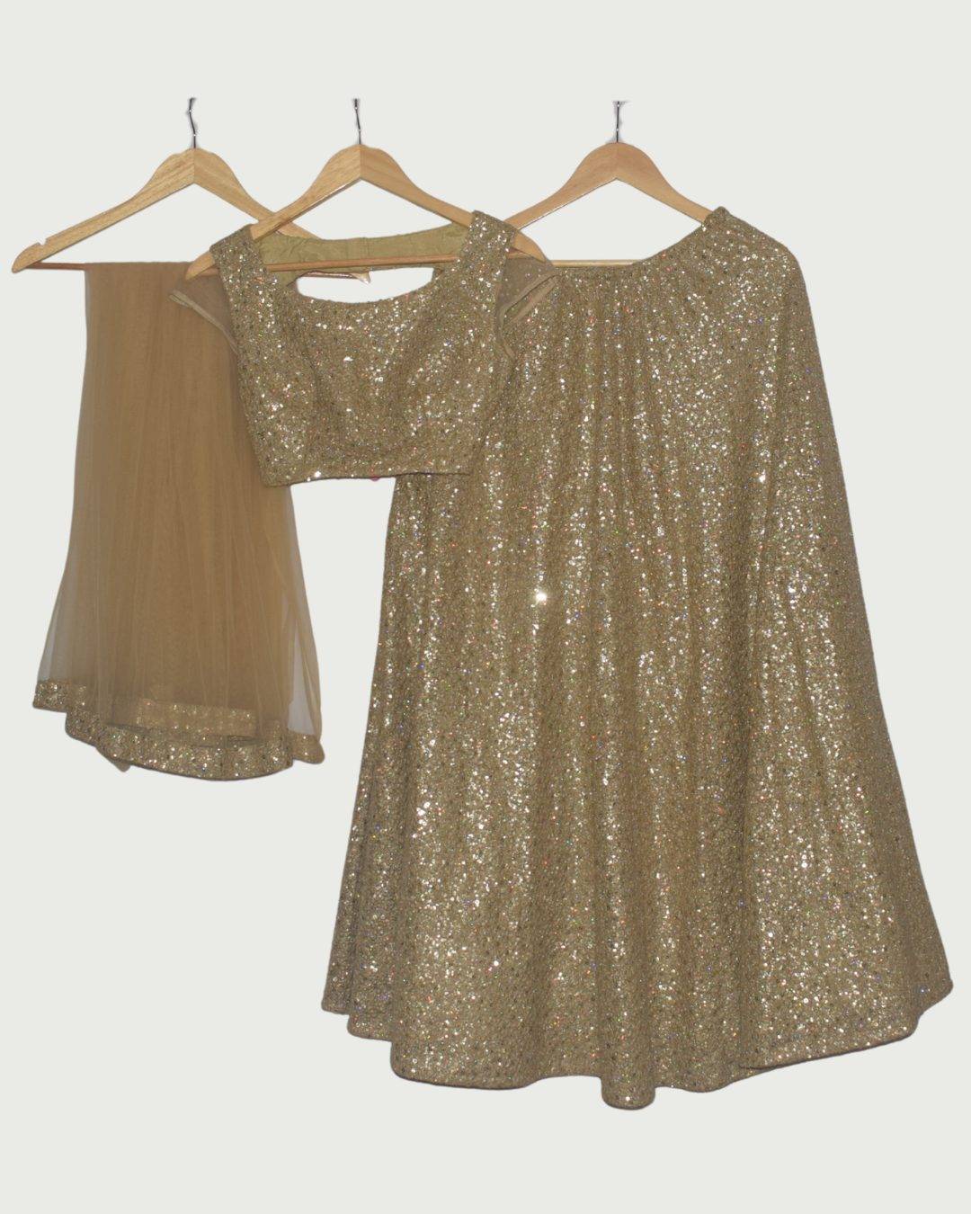 Golden Sequin Lehenga with Blouse & Net Dupatta, Gently Used